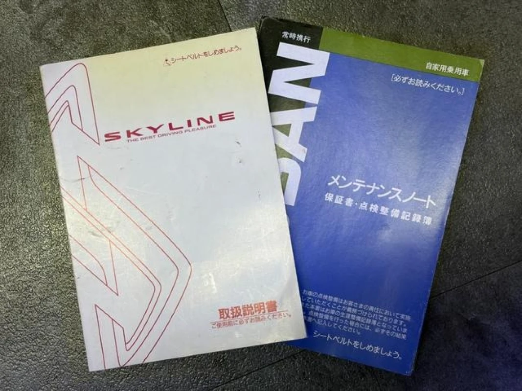 Skyline Skyline 1998 - Thumbnail 65